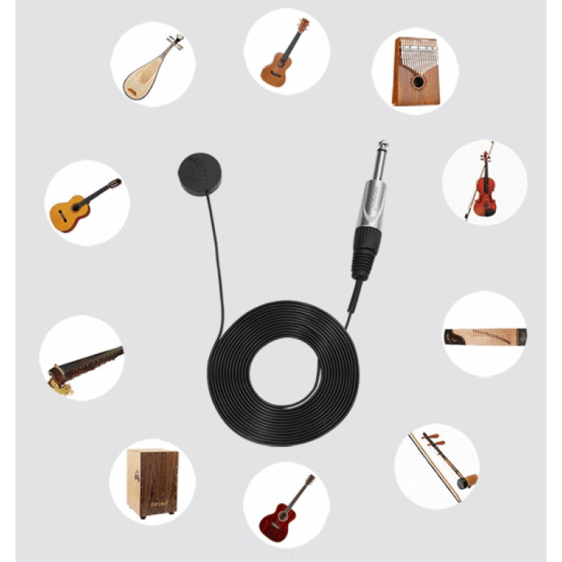 Gecko Pickup with EVA Carry Bag